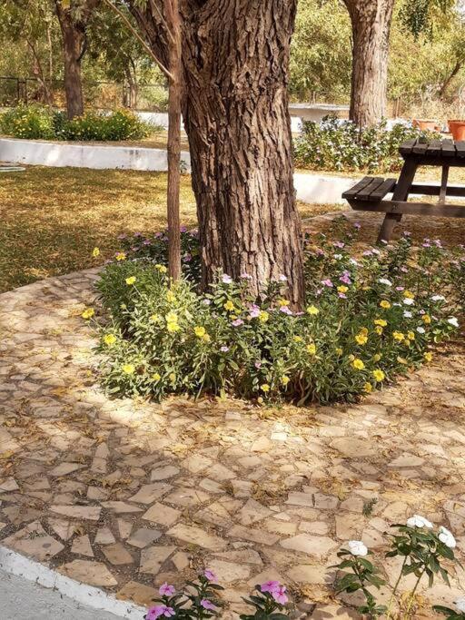 Mamta'S Home- Kensville Nānodra Εξωτερικό φωτογραφία