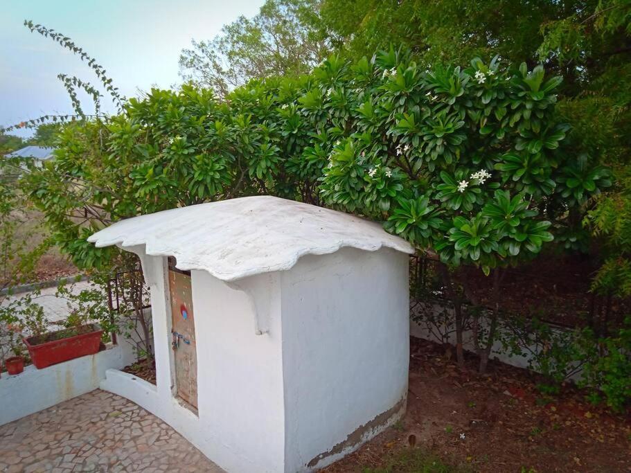 Mamta'S Home- Kensville Nānodra Εξωτερικό φωτογραφία
