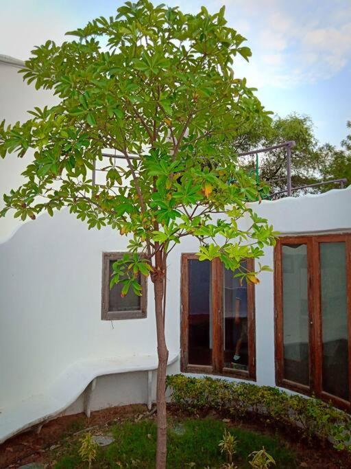 Mamta'S Home- Kensville Nānodra Εξωτερικό φωτογραφία