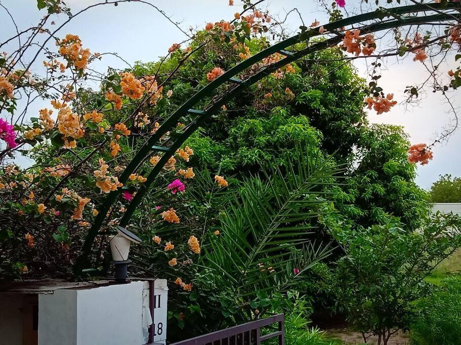 Mamta'S Home- Kensville Nānodra Εξωτερικό φωτογραφία