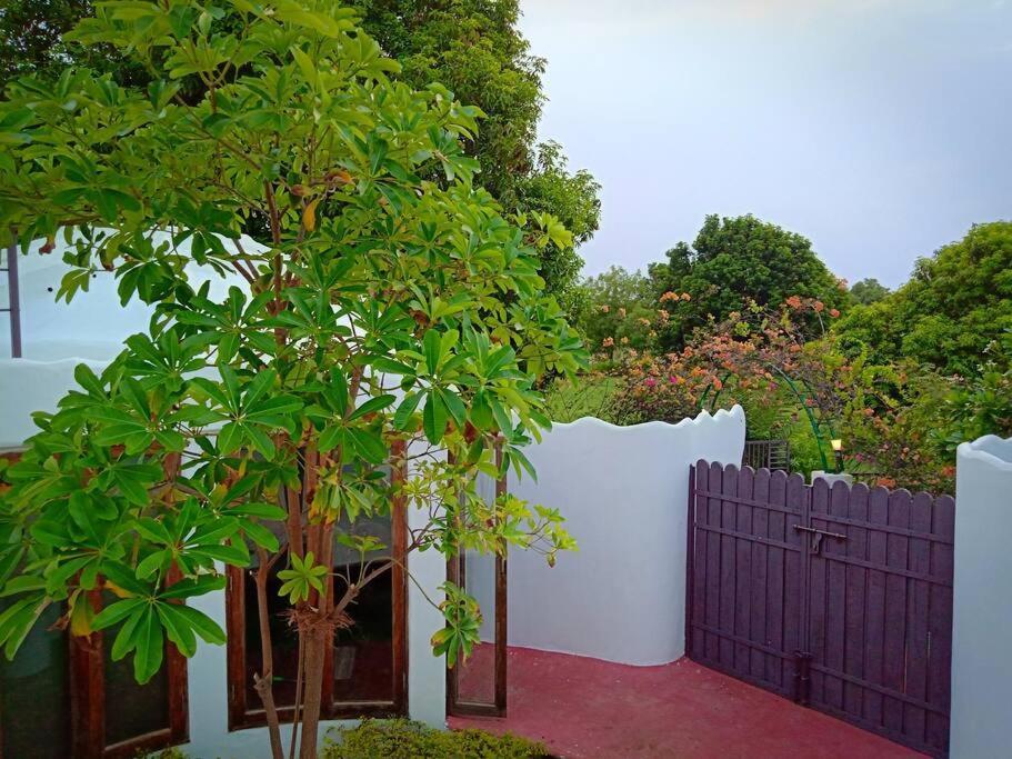 Mamta'S Home- Kensville Nānodra Εξωτερικό φωτογραφία