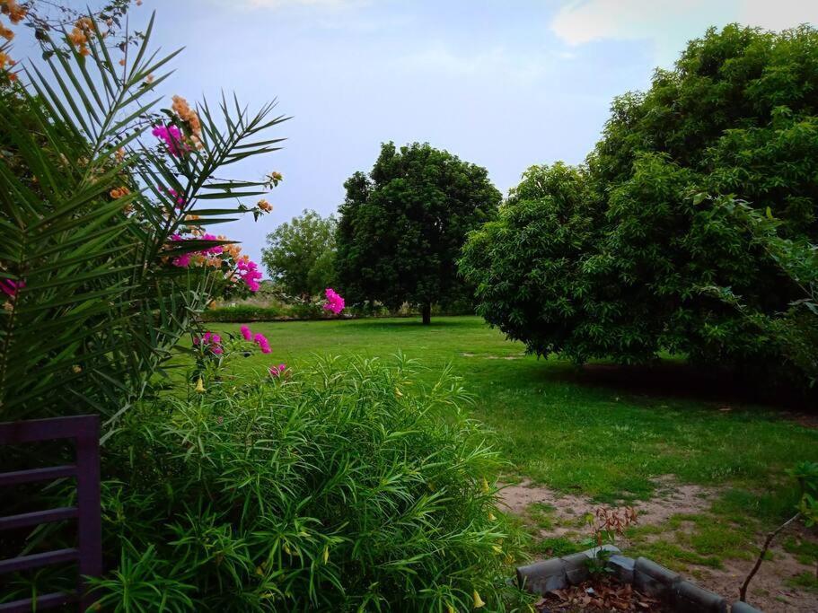 Mamta'S Home- Kensville Nānodra Εξωτερικό φωτογραφία